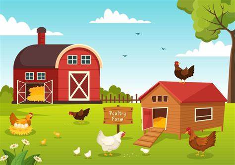 Poultry Farm